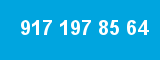 917 197 85 64